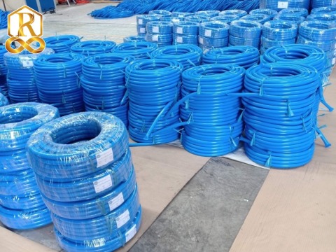 สายยางสีฟ้า